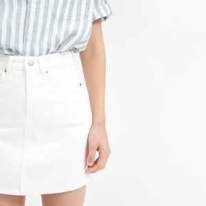 Everlane Denim Skirt
